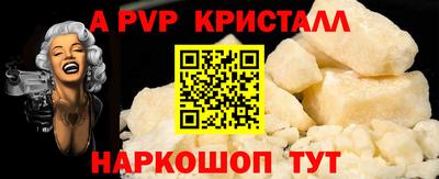 СК Бийск