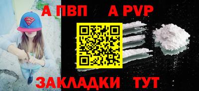 СК Бийск