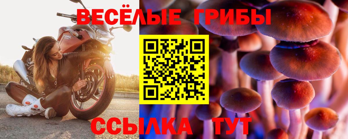 Кириши  Псилоцибиновые грибы GOLDEN TEACHER  Вход с VPN 